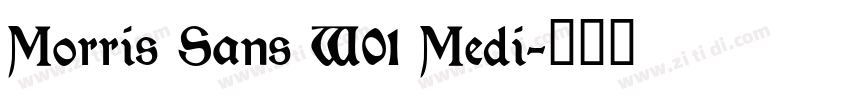 Morris Sans W01 Medi字体转换